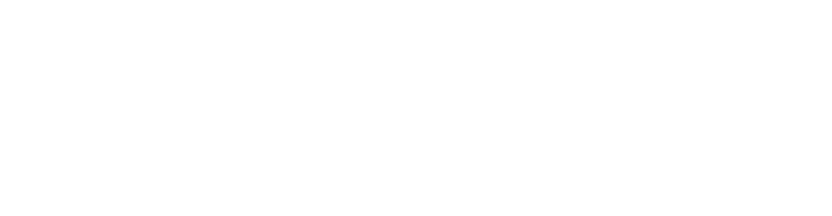 Logo White